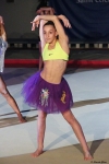 Sainté Gym Show Pôle France Saint-Etienne 5